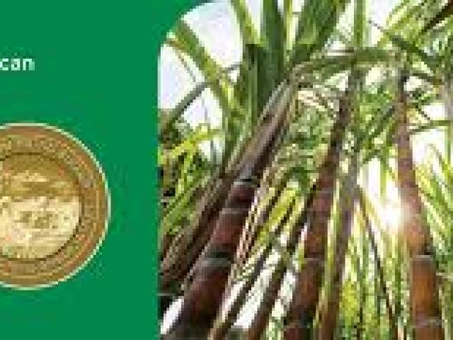 South African Sugar Technologists Association Congress 2025