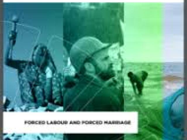 ONLINE Detecting, deterring and dealing with forced labour 