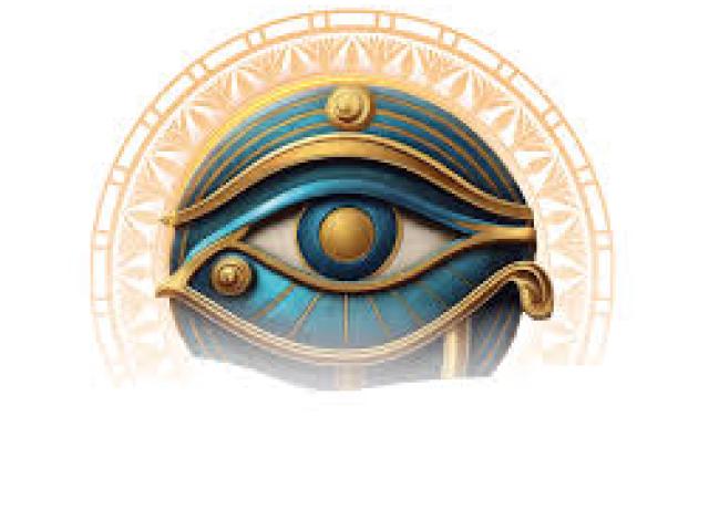 International Meeting of Research Institute of Ophthalmology (International Conference of RIO)