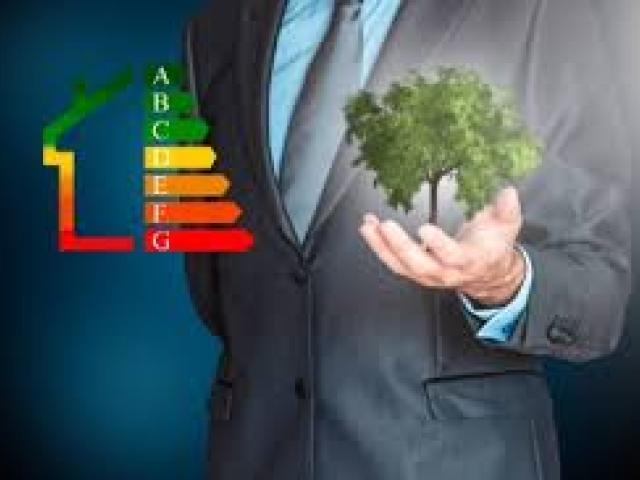 GIS and Remote Sensing for Sustainable Forest Monitoring and Management Training Course