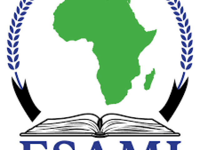 Financial Innovations and Emerging Issues Course 2024