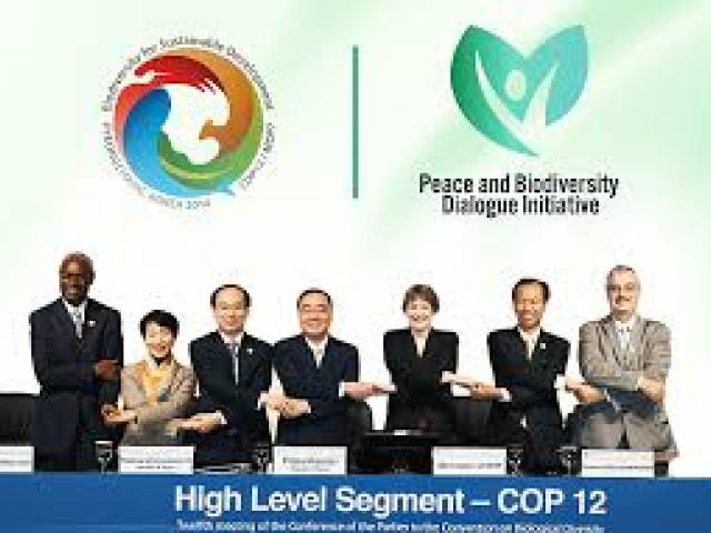  International Conference on Public Policy and Entrepreneurial Ecosystems