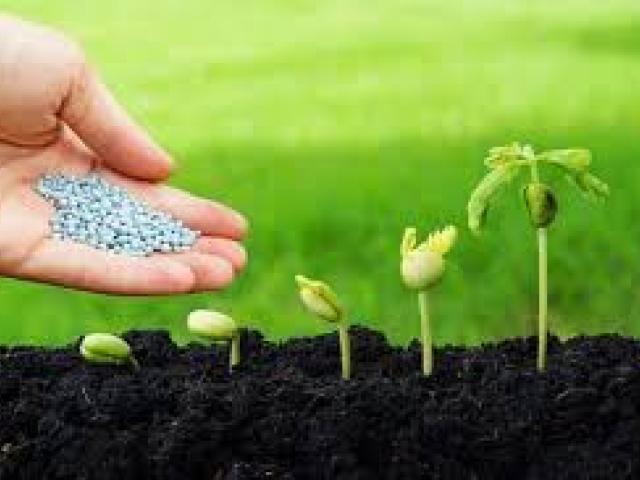 Biopesticide for healthy and sustainable crop production