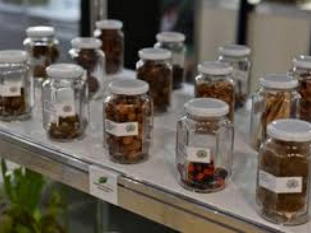 International Conference on Forest Products Marketing and Accounting(ICFPMA) | Research Leagues