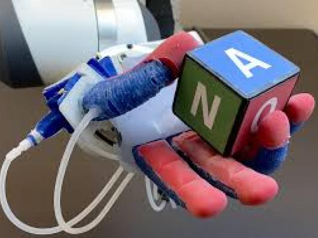 International Conference on Soft Body Robotics and Grasping Manipulation(ICSBRGM) | ISSER