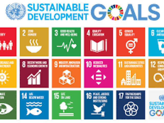 Education and the Sustainable Development Goals (SDGS)	