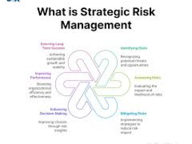 Effective Risk Management in Organizational Context				