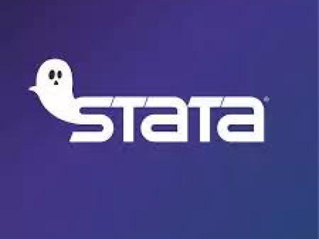 Financial Econometrics Using Stata Course 2024