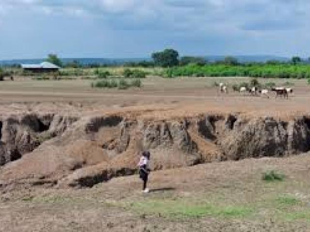 Land Degradation and Sustainable Development in the Steppes