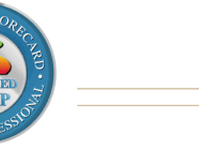 Certified Balanced Scorecard Master Professional Training	
