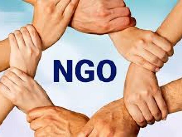 Non-Governmental Organizations Management Course 2025