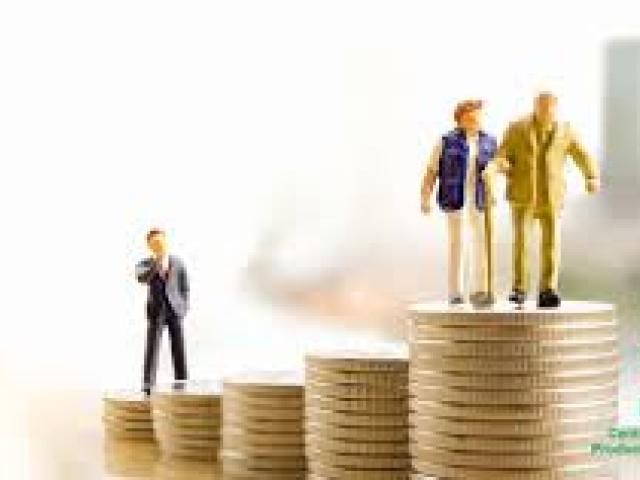 Peak Performance & Organizational Development 2024		