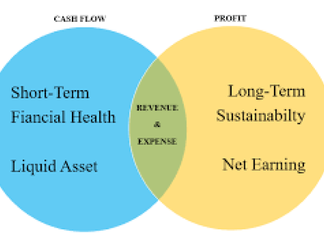 Managing the ups and downs of revenue and cash flow in Organizations