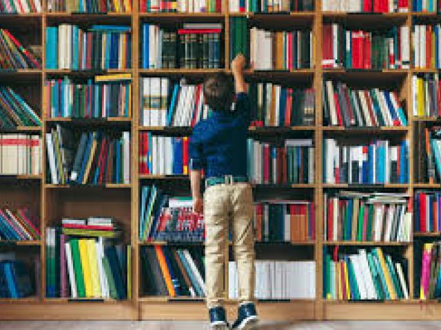 The Changing Landscape for Libraries and Librarians in the Digital Age