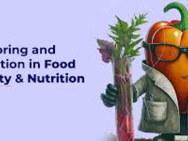 Monitoring and Evaluation for Food Security and Nutrition Course 2024
