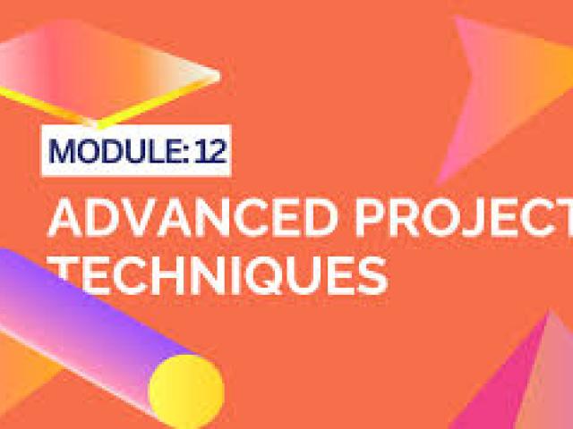 Advanced Project Management Course	2024