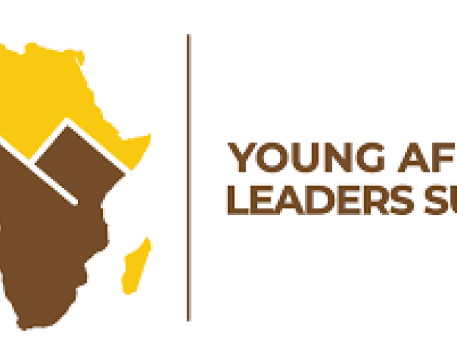 Young African Leaders Summit								