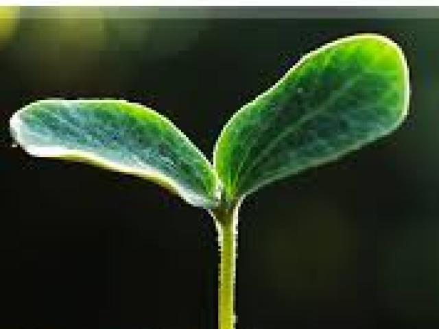 International Conference on Soil Productivity and Quality(ICSPQ) | ISER