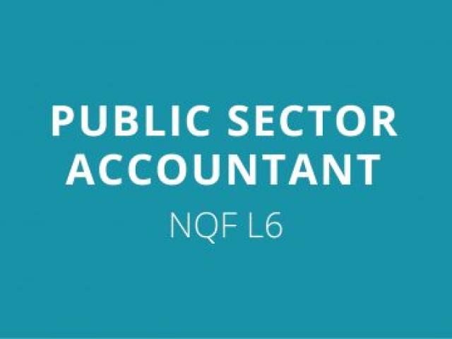 Public Sector Accountants