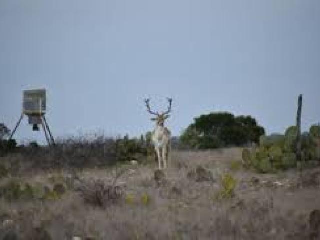 Practical Training on Application of GIS and Remote Sensing in Wildlife and Conservancy Management