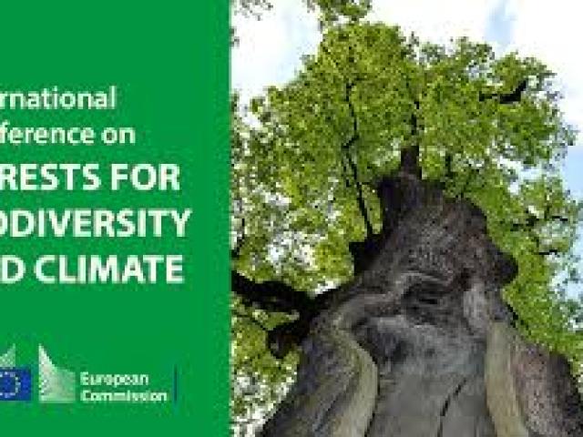 International Conference on Urban Forestry and Statistics(ICUFS) | IIRD