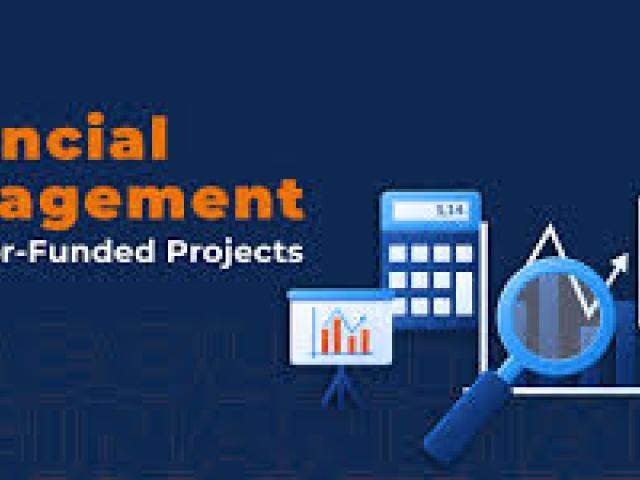 Auditing of Donor Funded Projects Course 2024