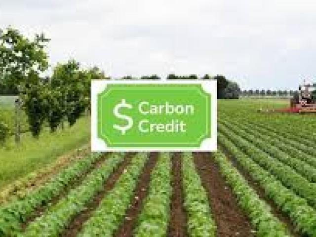 Agricultural Carbon Credit Markets Course 2024