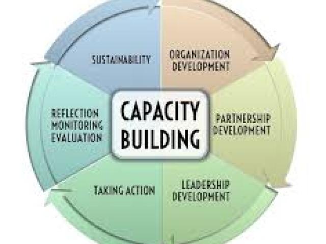 Manager's Role in Capacity Building Course
