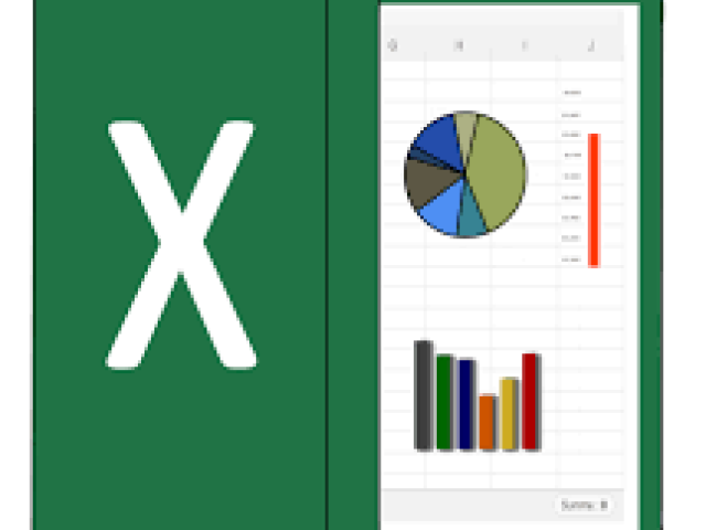 Advanced Data Management and Visualization Training Course with Excel