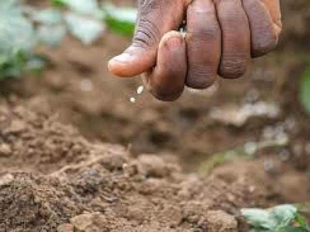 Integrated Soil Health and Fertility Management for Sustainable Food and Nutrition Security Course (ISFHM)