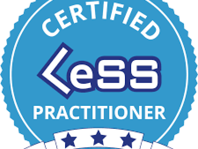 Certified LeSS Practitioner: Principles to Practices