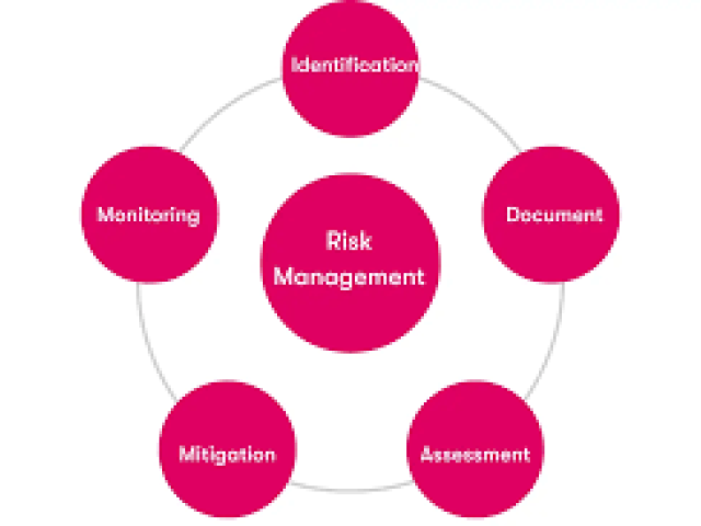 Effective Risk Management in Organizational Context