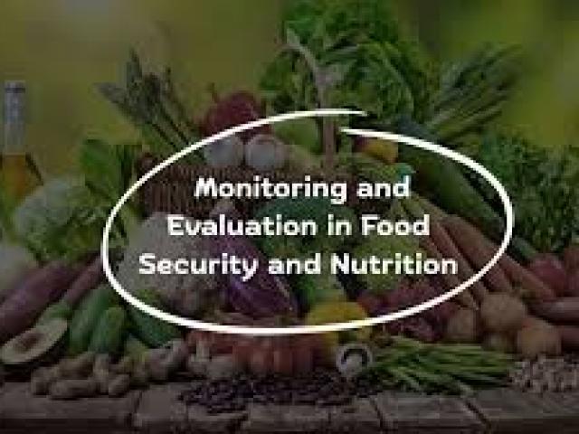 Monitoring and Evaluation for Food Security and Nutrition Course 2025