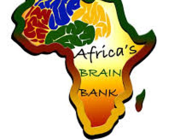 Africa's Brain Bank Annual Summit 2024