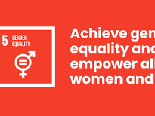 The Role of Empowering Women and Achieving Gender Equality To Sustainable Development 2024