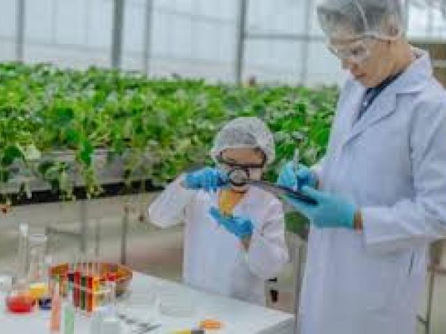 Traceability and Phytosanitary Standards Course 2024