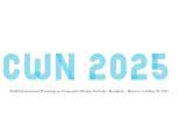 International Workshop on Cooperative Wireless Networks (CWN)