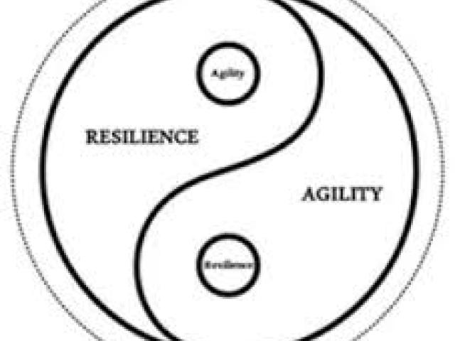 Leading Through Resilience and Agility	2025							