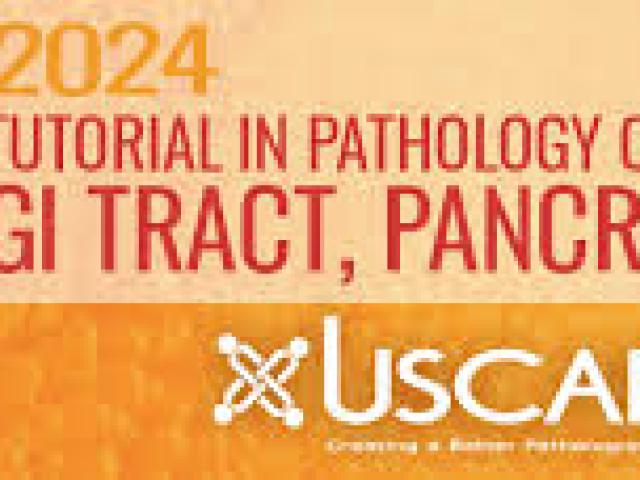 International Gastrointestinal Pathology Course 2024