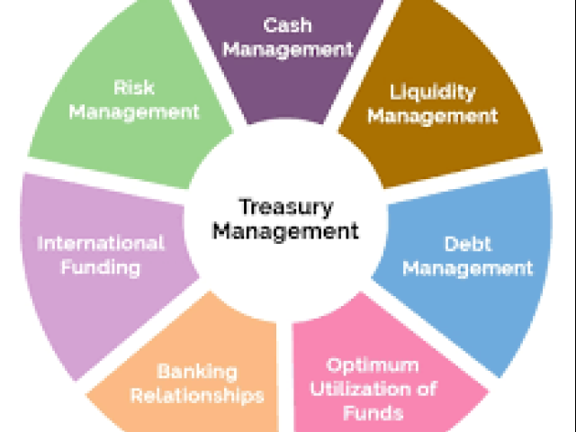 Treasury Management and Reporting a Strategy for Efficient Service Delivery Course