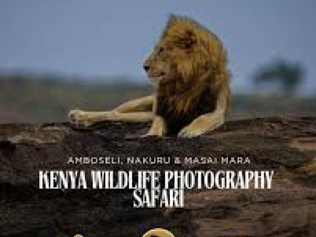 Kenya Wildlife Photography Workshop													