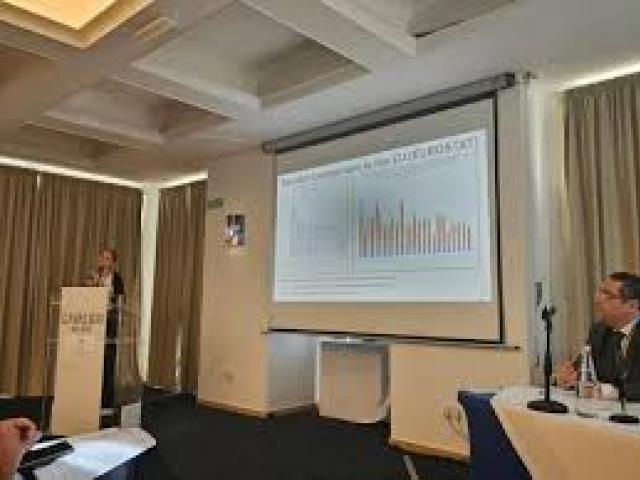 International Clearinghouse for Birth Defects Surveillance and Research Conference