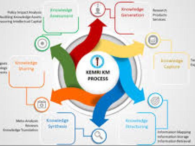 Knowledge Management in Research 2025			