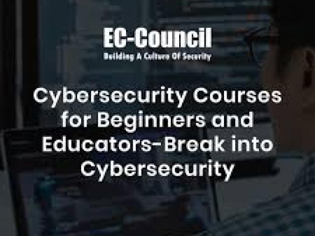 IT Security and Cybercrime Prevention Course 2024